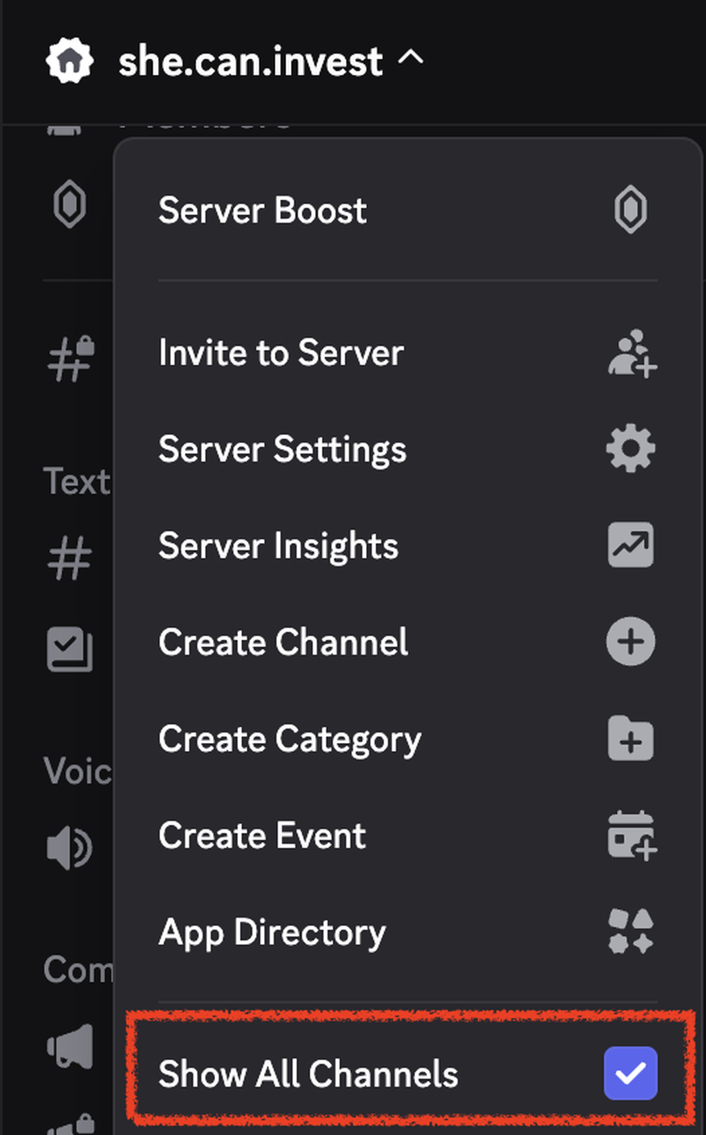 The SheCanInvest server menu in Discord on a computer, with Show All Channels at the bottom of the list and its checkbox turned on